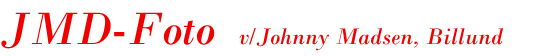 Site Title