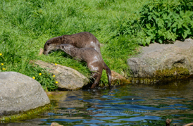 26. maj 2013 - www.jmd.dk - 1/800 sec at f / 5,6 - 200 mm - ISO 200 - 18.0-200.0 mm f/3.5-5.6