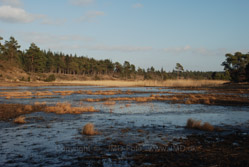 05. marts 2011 - www.jmd.dk - 1/60 sec at f / 9,0 - 66 mm - ISO 100 - 18.0-135.0 mm f/3.5-5.6