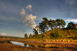 Frederikshåb Plantage - Syvårssøerne