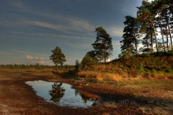 11. august 2010 - www.jmd.dk - 1/200 sec at f / 8,0 -  - ISO 100 - 