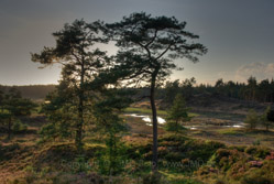 11. august 2010 - www.jmd.dk - 1/100 sec at f / 8,0 -  - ISO 100 - 