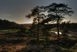 11. august 2010 - www.jmd.dk - 1/400 sec at f / 8,0 -  - ISO 100 - 