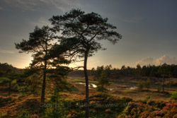 11. august 2010 - www.jmd.dk - 1/125 sec at f / 8,0 -  - ISO 100 - 