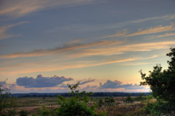 11. august 2010 - www.jmd.dk - 1/60 sec at f / 5,6 -  - ISO 100 - 