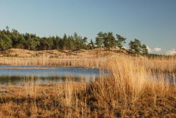 11. november 2012 - www.jmd.dk - 1/30 sec at f / 10 - 60 mm - ISO 100 - 18.0-135.0 mm f/3.5-5.6
