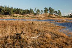 11. november 2012 - www.jmd.dk - 1/25 sec at f / 10 - 52 mm - ISO 100 - 18.0-135.0 mm f/3.5-5.6