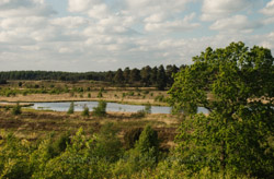 Grene Sande / Gyttegård Plantage