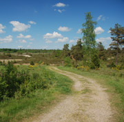 Frederikshåb Plantage, Randbøl Hede & Grene Sande