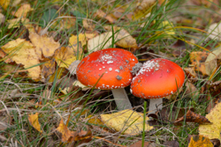 12. oktober 2013 - www.jmd.dk - 1/10 sec at f / 13 - 200 mm - ISO 100 - 18.0-200.0 mm f/3.5-5.6 - NIKON D7100 - 5848 x 3899 -  -Flash:  Did not fire - Aperture priority