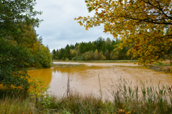 12. oktober 2013 - www.jmd.dk - 1/200 sec at f / 7,1 - 20 mm - ISO 400 - 18.0-200.0 mm f/3.5-5.6 - NIKON D7100 - 6000 x 4000 -  -Flash:  Did not fire - Normal