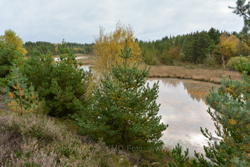 12. oktober 2013 - www.jmd.dk - 1/125 sec at f / 13 - 20 mm - ISO 400 - 18.0-200.0 mm f/3.5-5.6 - NIKON D7100 - 6000 x 4000 -  -Flash:  Did not fire - Aperture priority