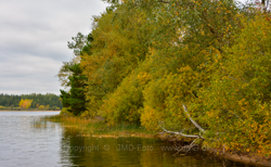 12. oktober 2013 - www.jmd.dk - 1/40 sec at f / 6,3 - 34 mm - ISO 100 - 18.0-200.0 mm f/3.5-5.6 - NIKON D7100 - 6000 x 3691 -  -Flash:  Did not fire - Aperture priority