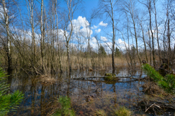 Søby Brunkulslejer og Søby Sø ved Herning.