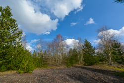 22. marts 2014 - www.jmd.dk - 1/320 sec at f / 9,0 - 10 mm - ISO 125 - 10.0-24.0 mm f/3.5-4.5 - NIKON D7100 - 5959 x 3986 -  -Flash:  Did not fire - Normal