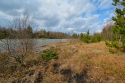 22. marts 2014 - www.jmd.dk - 1/250 sec at f / 8,0 - 10 mm - ISO 125 - 10.0-24.0 mm f/3.5-4.5 - NIKON D7100 - 6000 x 4000 -  -Flash:  Did not fire - Normal